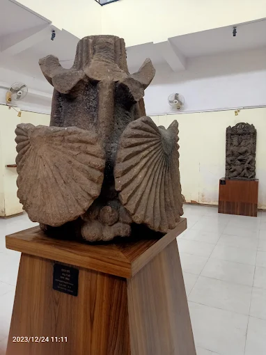 Rani Durgavati Museum