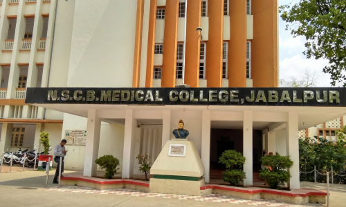 Home netaji subhash chandra bose medical college